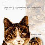 TwoTrees TTS-55 Pro Laser Engraver With Wifi Offline Control 80W Laser Engraving Cutting Machine 445±5nm Blue Light Cnc Machine